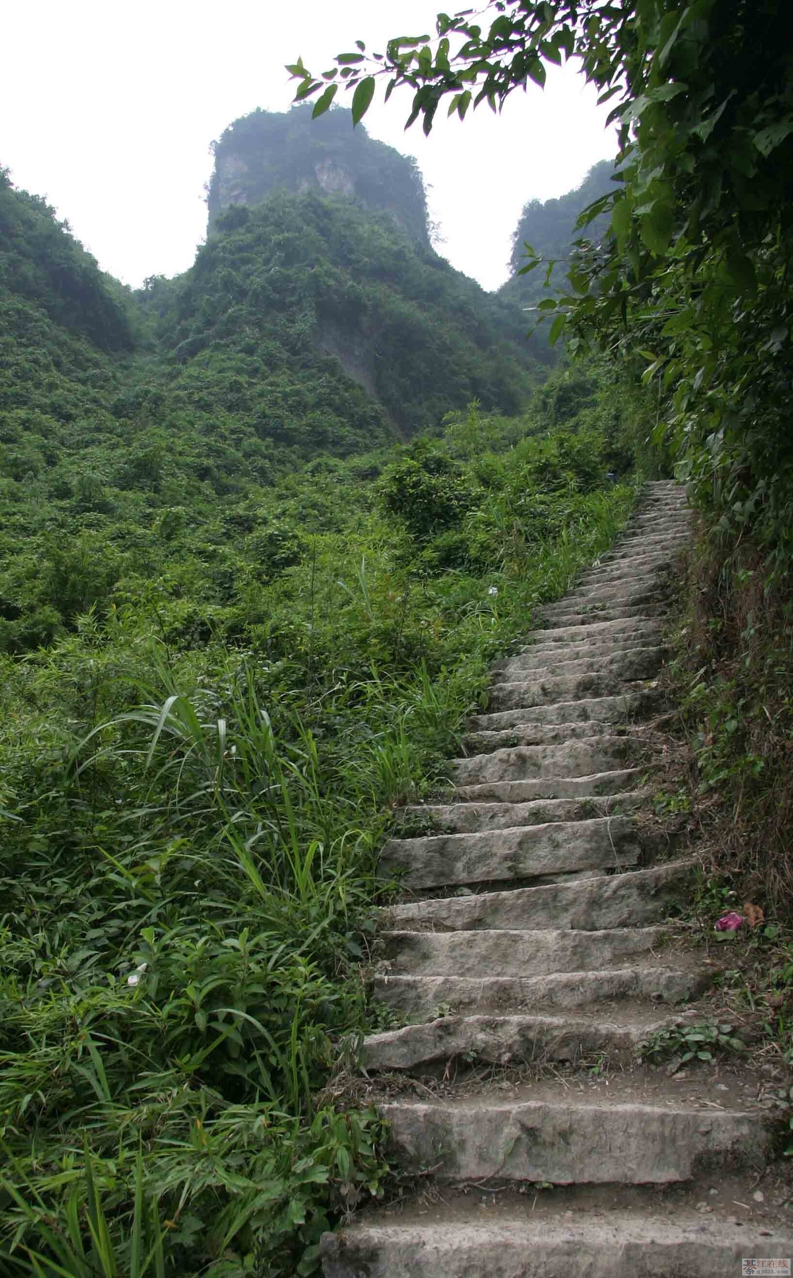 尧龙山风景