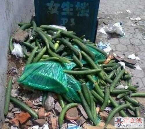 女生宿舍后的垃圾堆全是黄瓜