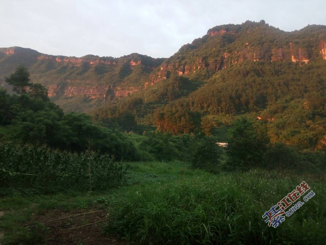 不得了,綦江老瀛山红遍啦!
