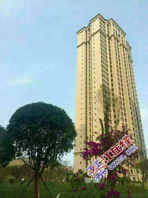 免大修基金契税,免1年物管。小区高端大气上档