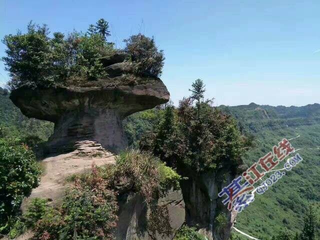 高青是个好地方,风景好,空气好 - 綦江杂谈 - 綦江