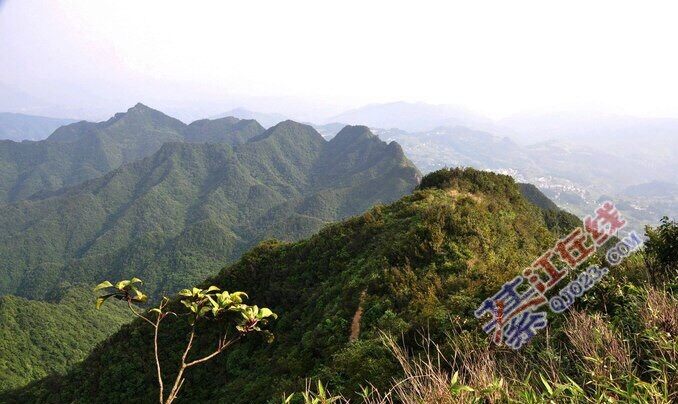 贵州桐梓尧龙山,可避暑还能游山玩水,不可不去