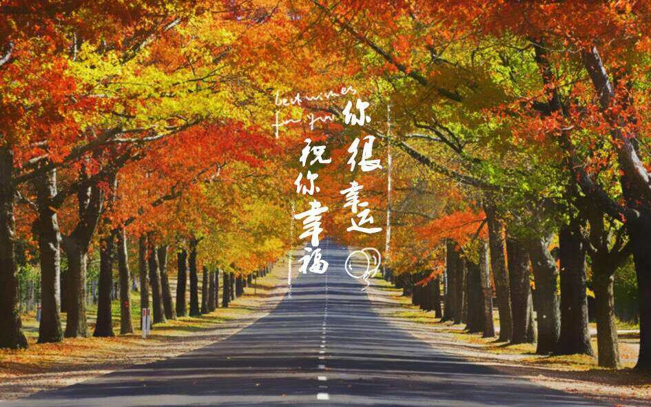 查看源网页