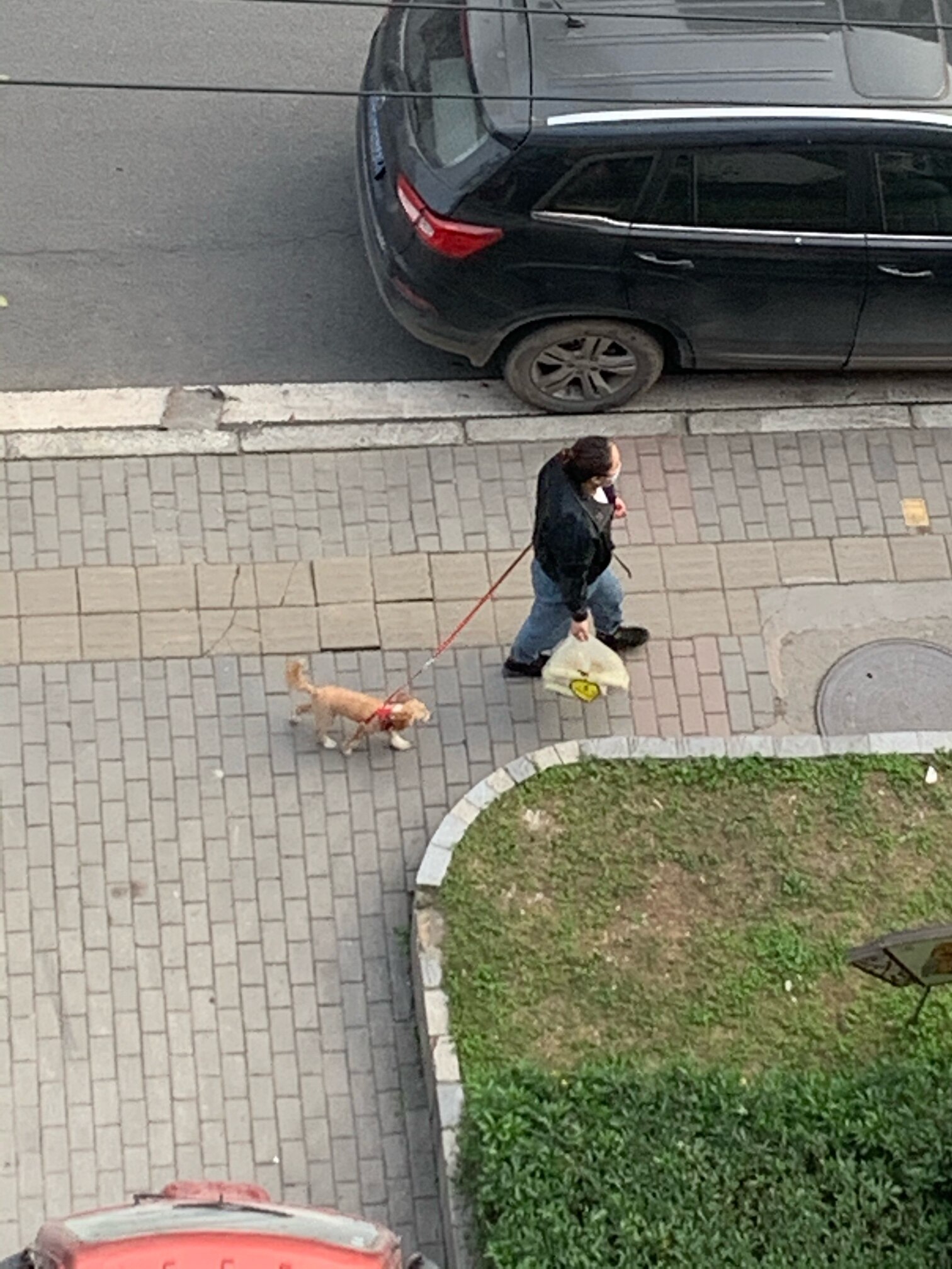 惊!2020年还有如此素质低下不道德的年轻人