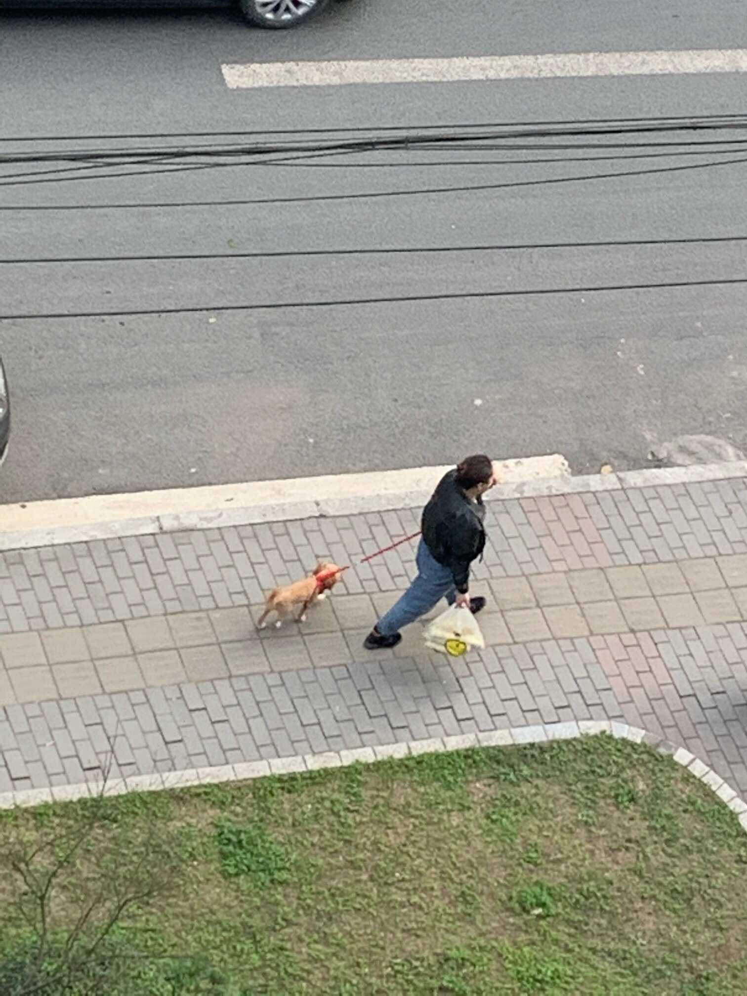 惊!2020年还有如此素质低下不道德的年轻人