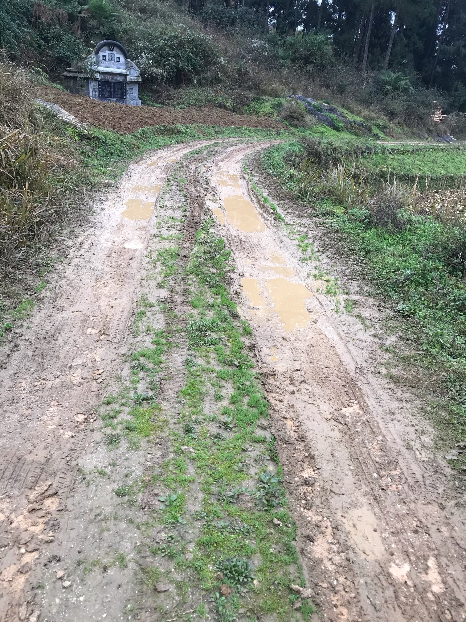 綦江赶水镇官田村公路硬化