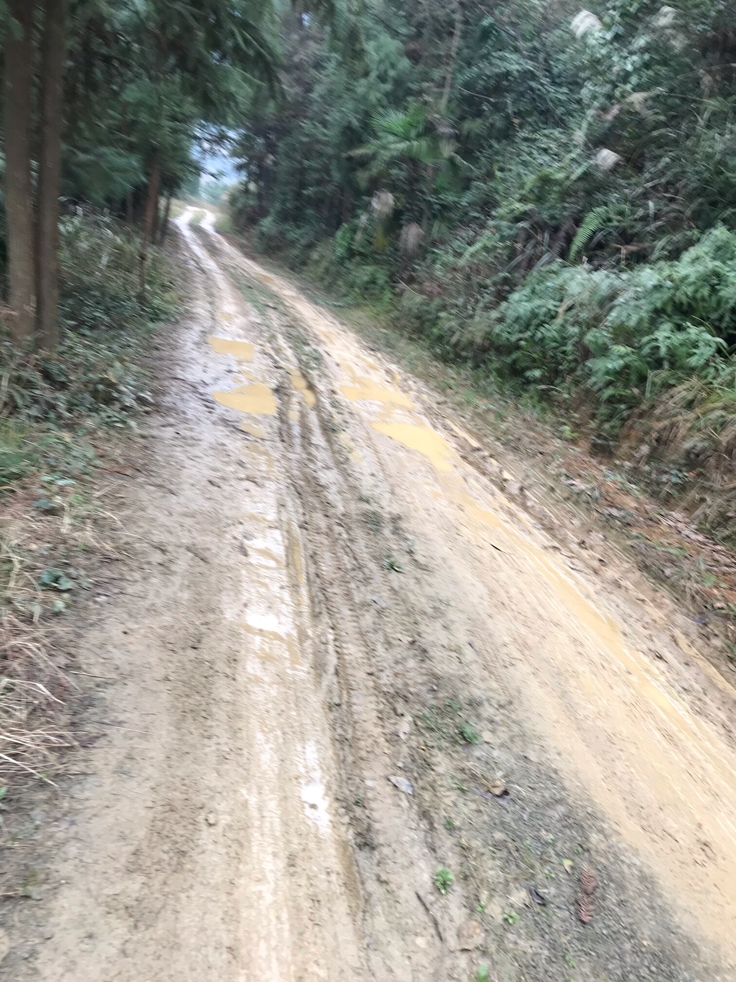 綦江赶水镇官田村公路硬化