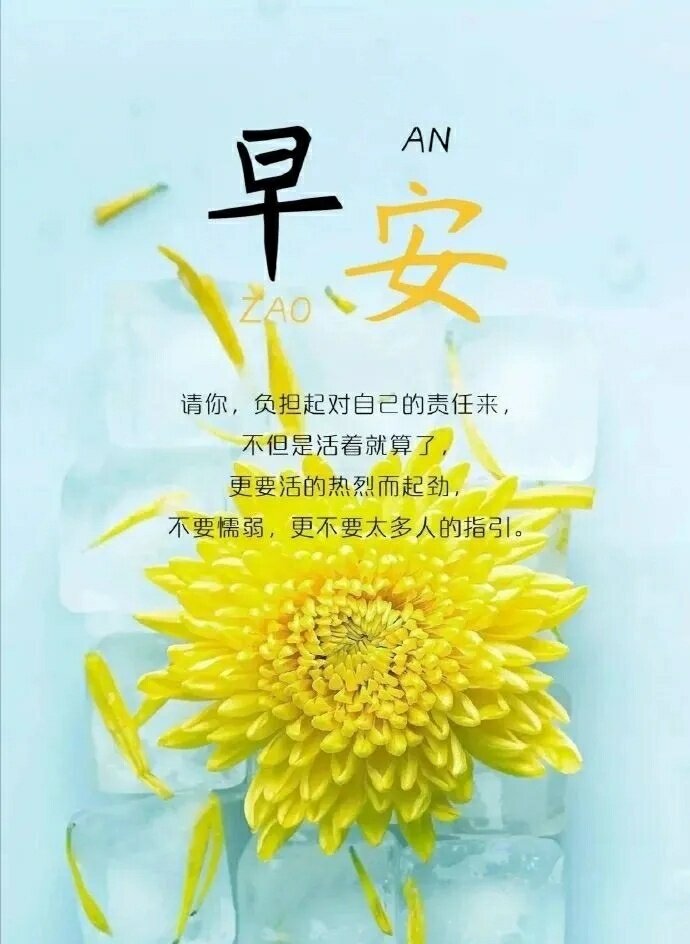 大家早上好!