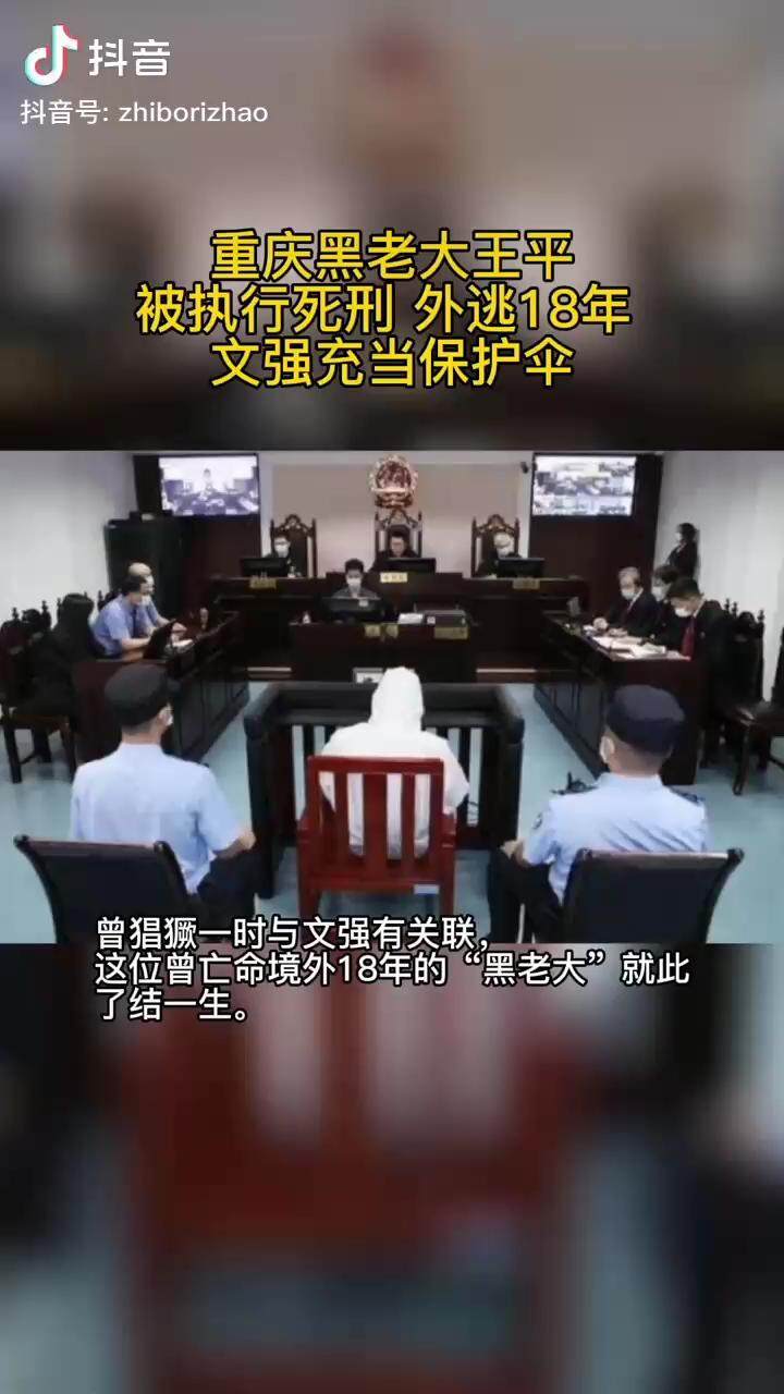 重庆黑老大王平正式被执行死刑