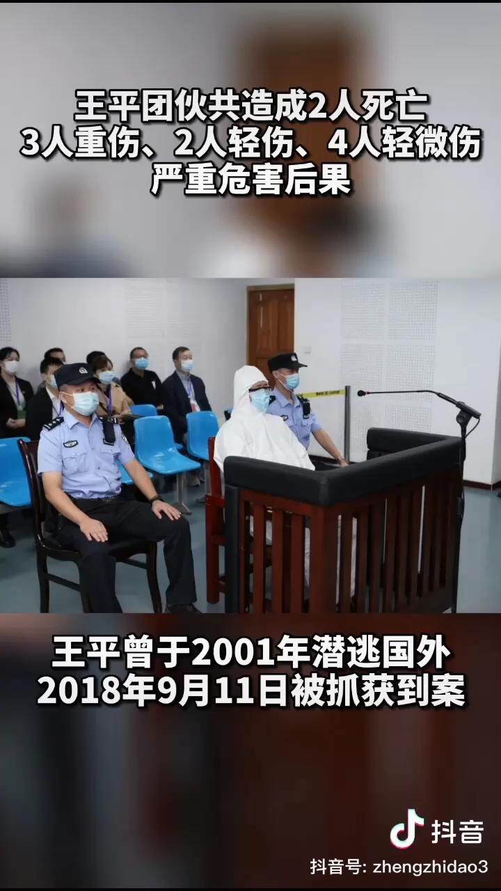 重庆黑老大王平正式被执行死刑