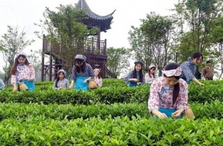 �뽭ʯ�ǲɲ��������