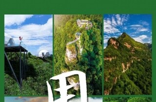 �뽭�����Ƕ������ģ�ɽҰ��+������+����ң�����