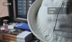 뽭׬һ롰Ҫã