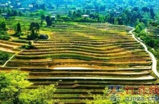 �뽭�Ĵ���ͳ��������ˮ�����