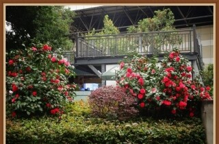 �ڴ���С��·���ߵ������У����Ӱ����