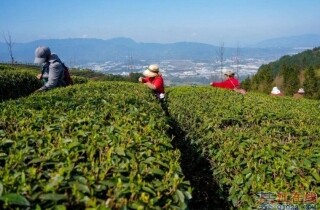 �뽭ʯ���������迪�ɣ�������԰��