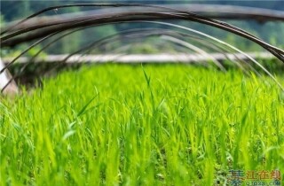 �뽭�Ĵ��죬���������֣�