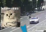 뽭һСơ֡