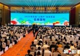 ţ뽭ѡ2025ȰزŰƷ