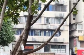 뽭ͷɰͷϴеתȦȦ~