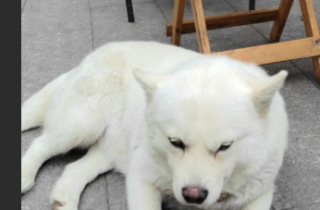 ��׹�  ˭�ҵģ�