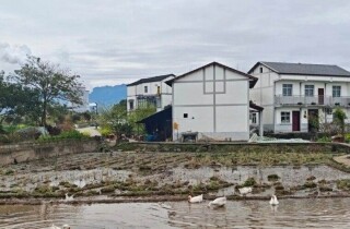 ţ���¶��Ӱ�����뽭��Ƭɽˮ��������