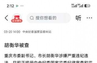 ������쵼����