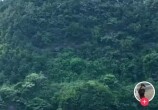 뽭˫ʯȻĹ񹤣