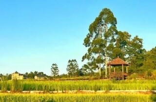 �뽭�����̫�����ˣ������ε����Ŵ򿨵�