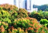 뽭ͨɽҰ~