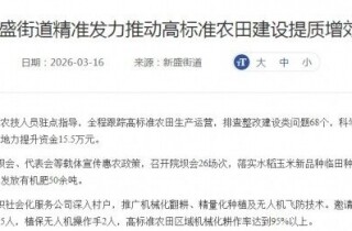 �뽭�����и��У���ʢ���˸������壡