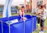 �뽭�޲����ˣ�ʯͷ�������������ô�