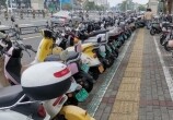 ¹ص綯г91ʵʩǿ쿴