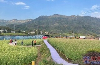 �뽭������Ķ�滨�������ţ�