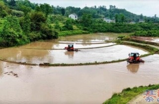 �뽭��е������̫Ӳ���ˣ�