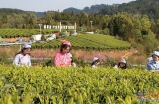 �뽭ʯ������ũ���ɽ����Ŷ��