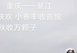 뽭ĹӿԸ綼û