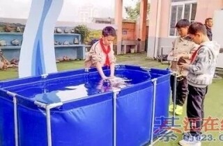 �뽭�޲����ˣ�ʯͷ�������������ô�