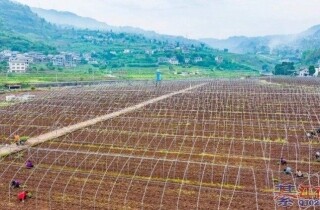 �뽭�������������£����˻����ũæ