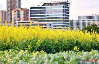 �뽭ͨ���������򿨵㣬����Ұ����Ͳˣ�