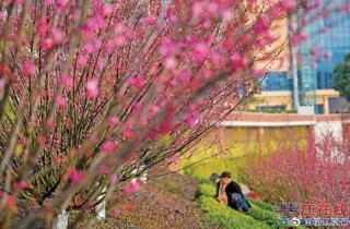 ���·����÷�����ţ����ͻ�����