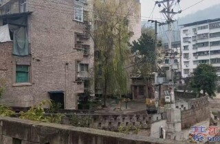 �뽭��ɫ���������Щ��