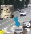 뽭һСơ֡