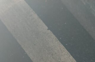 ˭�ҵĹ�������������ģ�˯����·�ϣ�β�ͳ�����