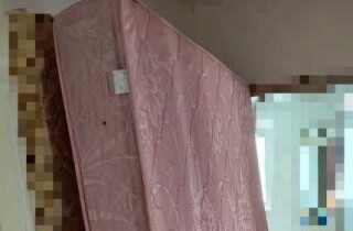 �ų��µ��ɴ���1.5�׿���һ�ţ�����Ҫ��������ͣ��Լ����ᡣ