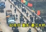 Ƭ80뽭ţ