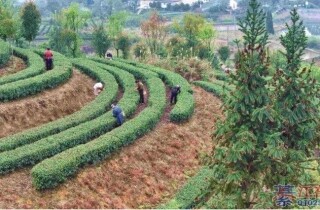 �뽭ʯ����420Ķ���������ʡ����ɣ�