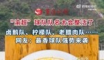 峬뽭ӶΪ뽭׷۶ӡ