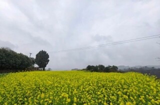 �뽭ʯ�ǵĴ��죬�Ӿ��ݵ�һƬ����������