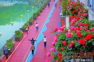 �뽭���Ӳ����¼���������